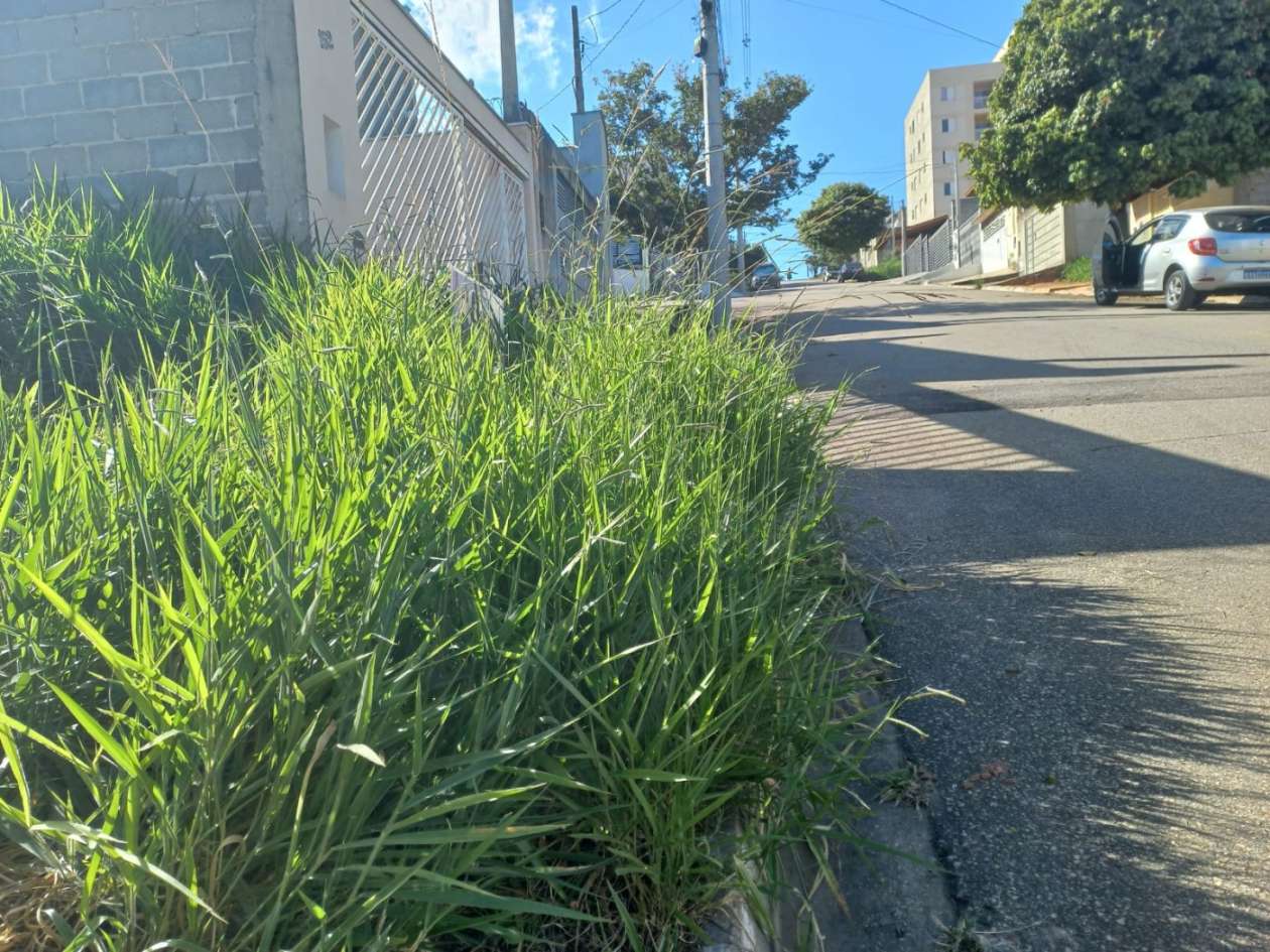 Terreno, 150 m² - Foto 4