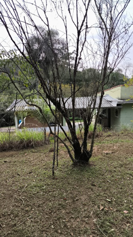 Fazenda, 3 hectares - Foto 23
