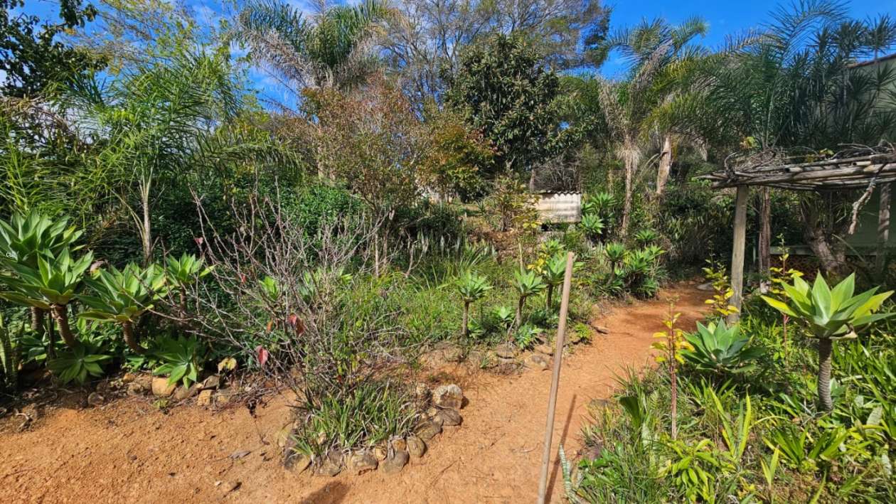 Fazenda, 3 hectares - Foto 8