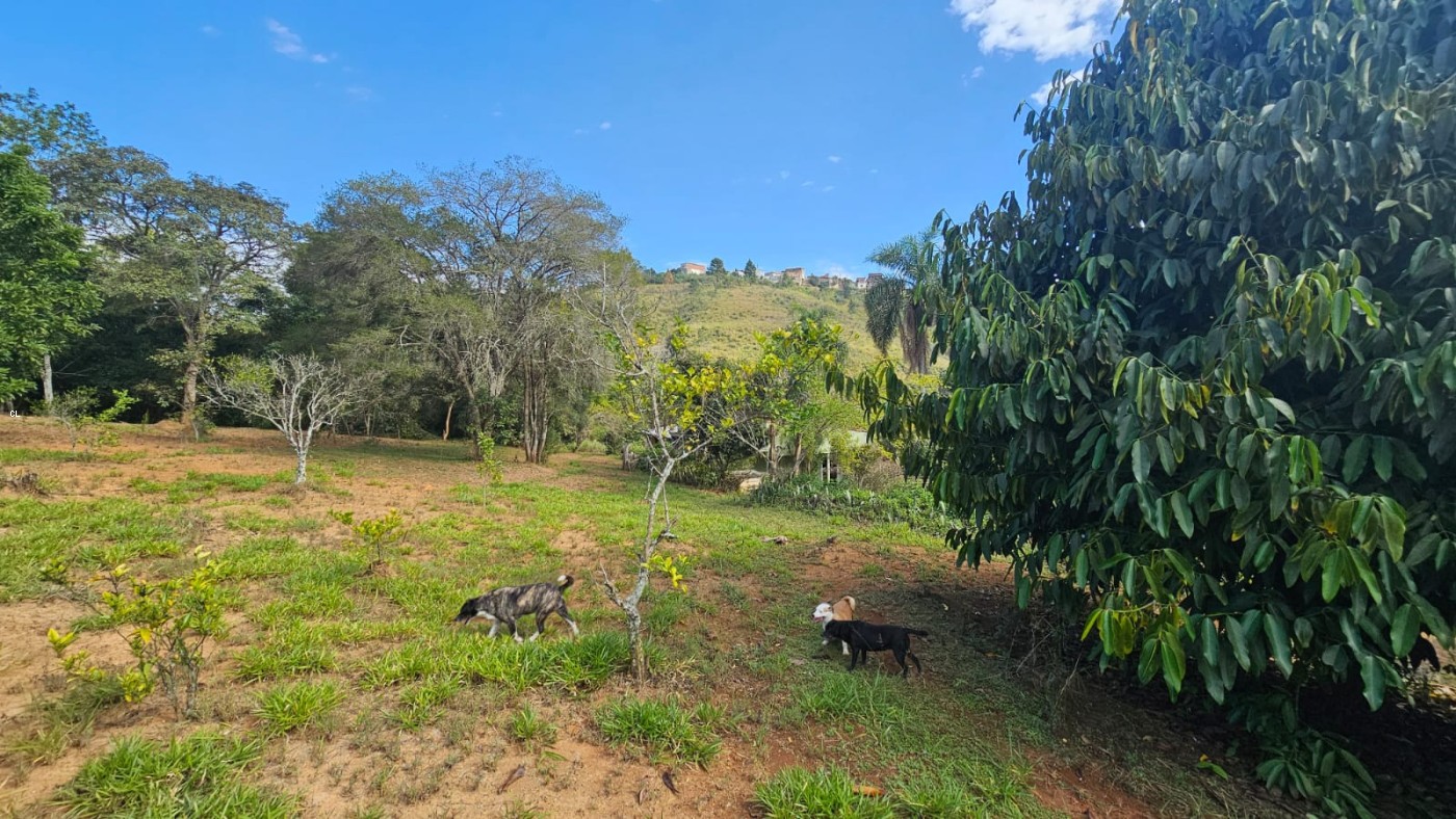 Fazenda, 3 hectares - Foto 12