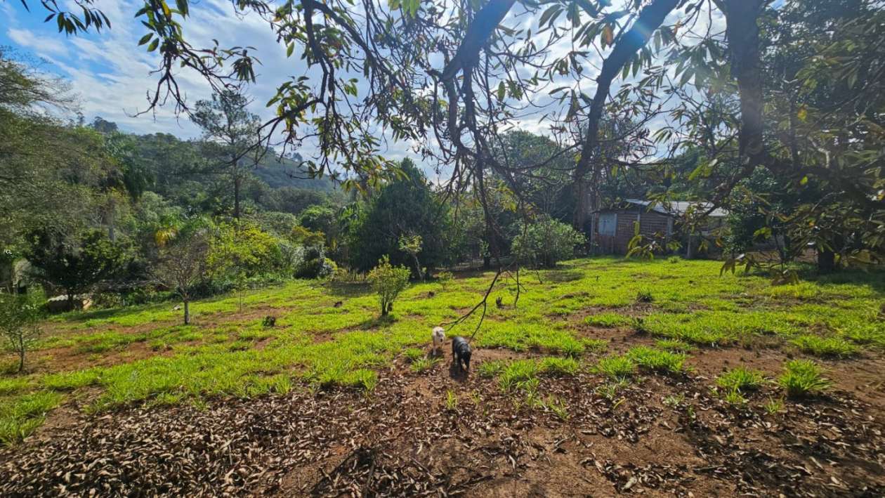 Fazenda, 3 hectares - Foto 13