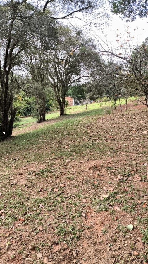 Fazenda, 3 hectares - Foto 14