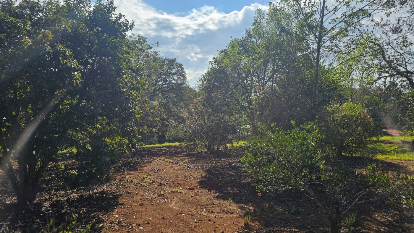 Fazenda, 3 hectares - Foto 17