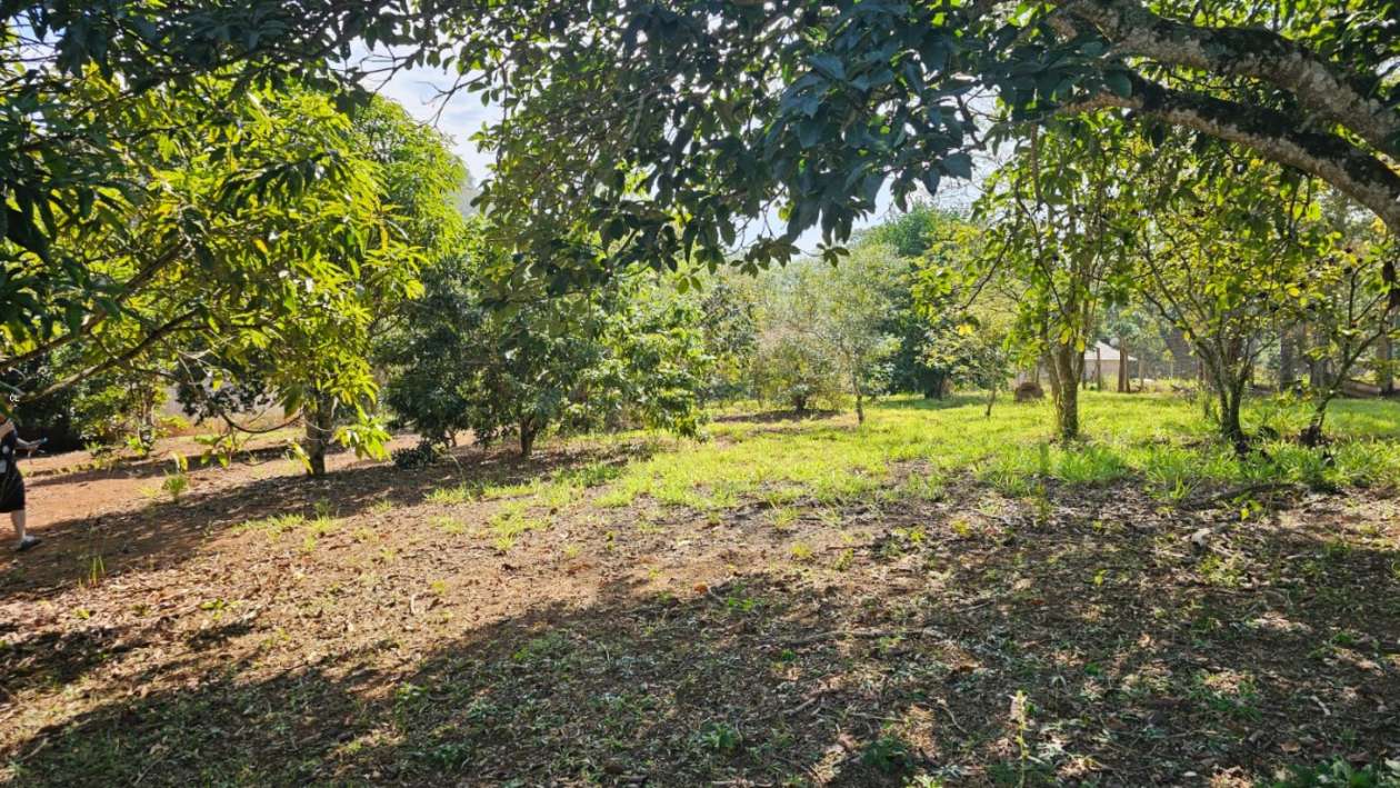 Fazenda, 3 hectares - Foto 19
