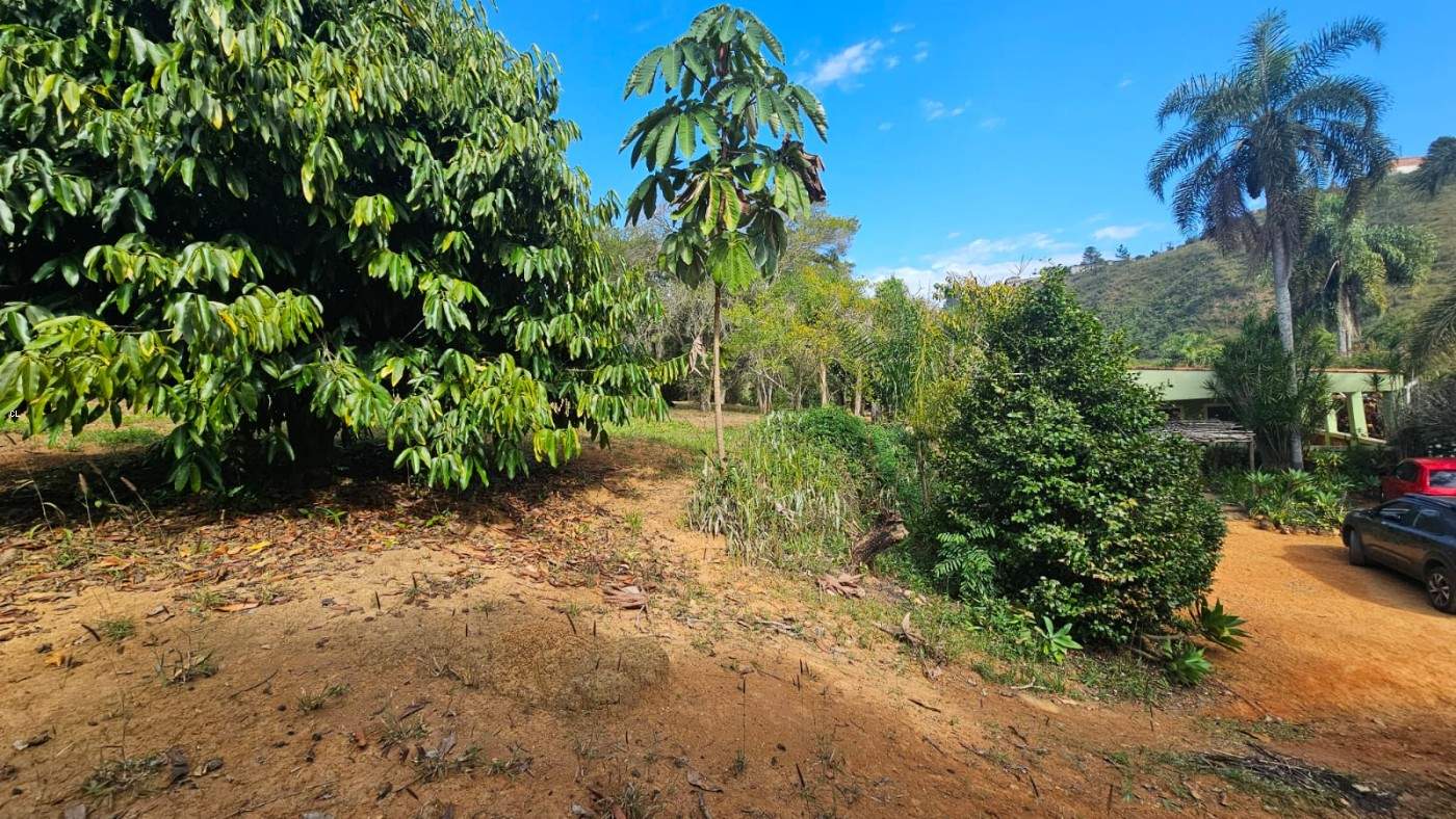 Fazenda, 3 hectares - Foto 21