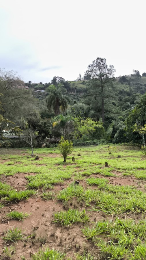 Fazenda, 3 hectares - Foto 25