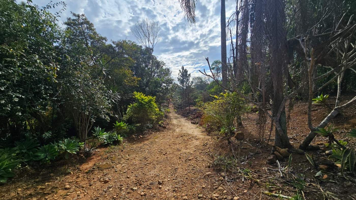 Fazenda, 3 hectares - Foto 28