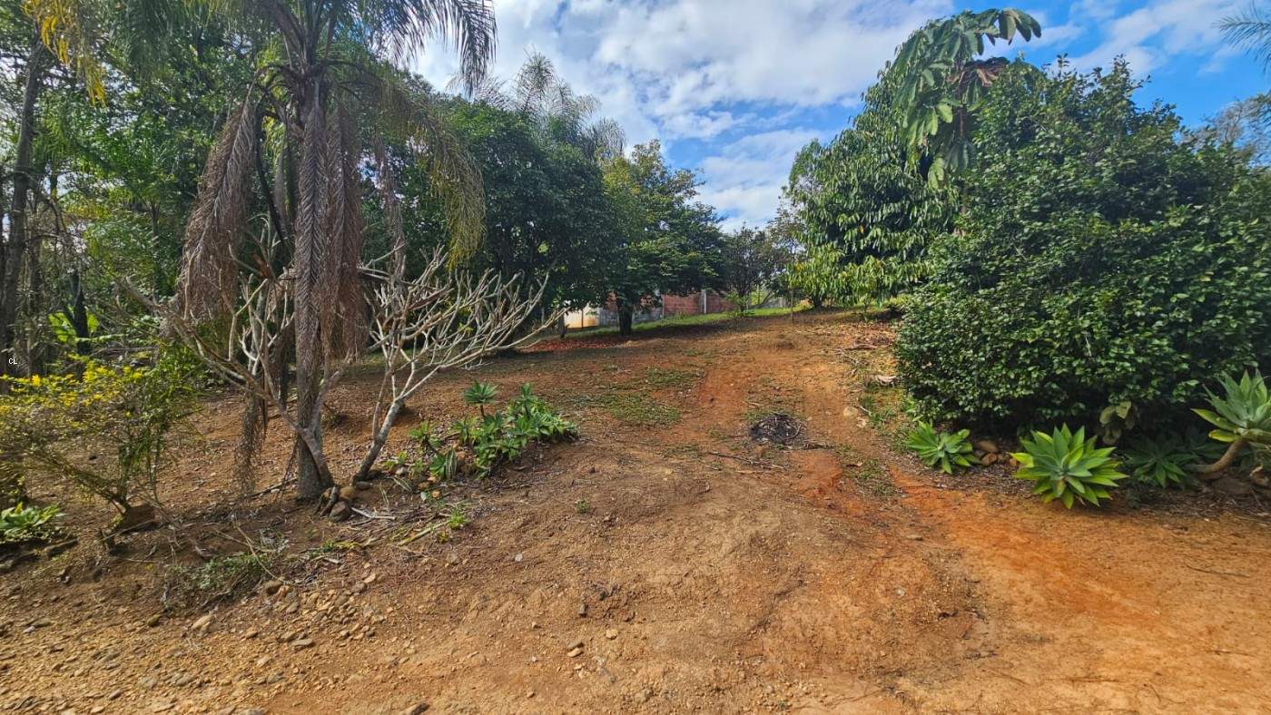 Fazenda, 3 hectares - Foto 30