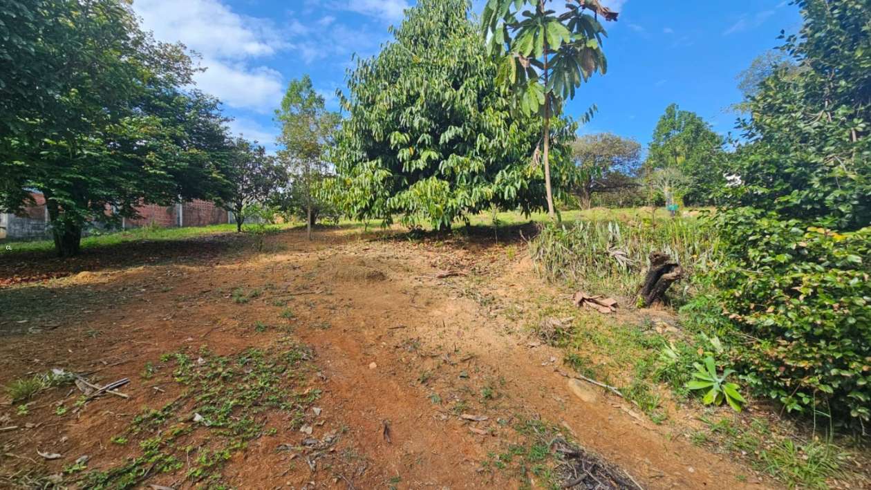 Fazenda, 3 hectares - Foto 31