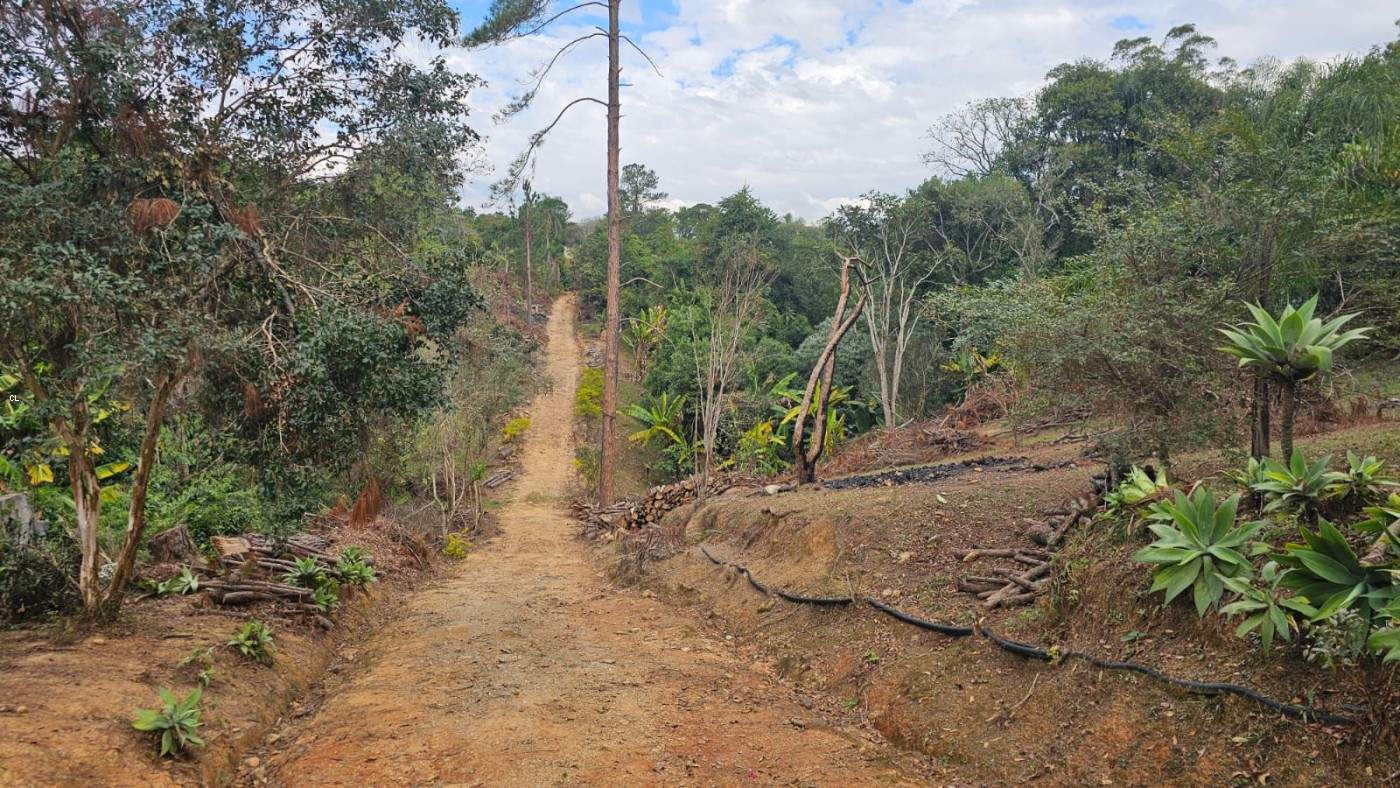 Fazenda, 3 hectares - Foto 1