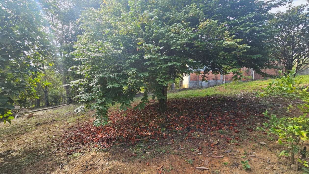 Fazenda, 3 hectares - Foto 33
