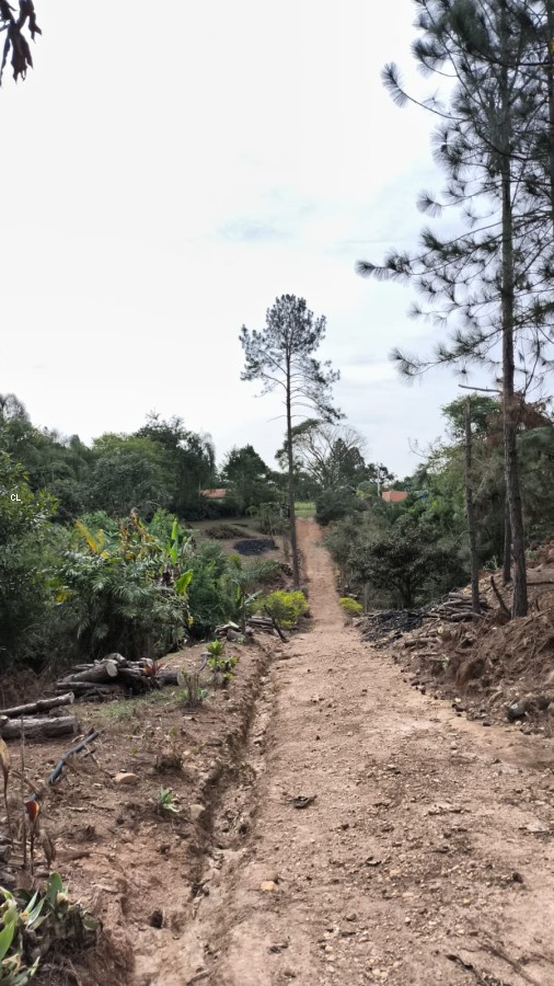 Fazenda, 3 hectares - Foto 36