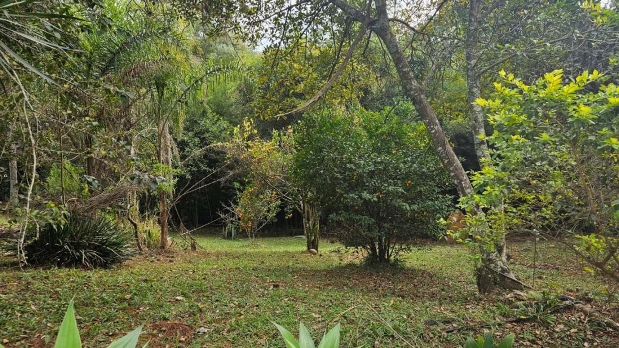 Fazenda, 3 hectares - Foto 37