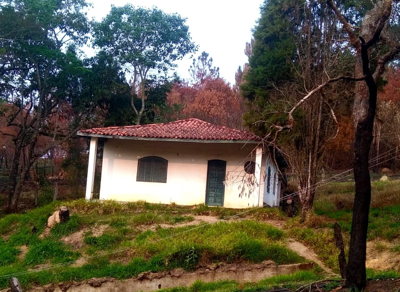 Sítio, 2 quartos, 5 hectares - Foto 10