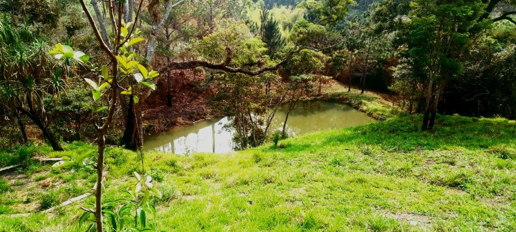 Sítio, 2 quartos, 5 hectares - Foto 5