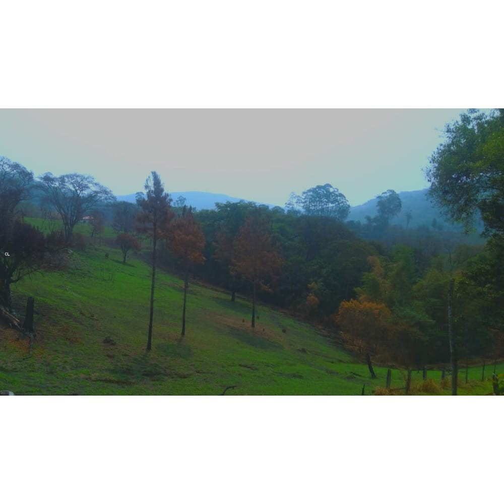 Sítio, 2 quartos, 5 hectares - Foto 17