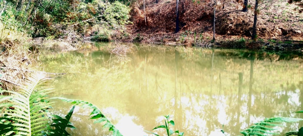 Sítio, 2 quartos, 5 hectares - Foto 15