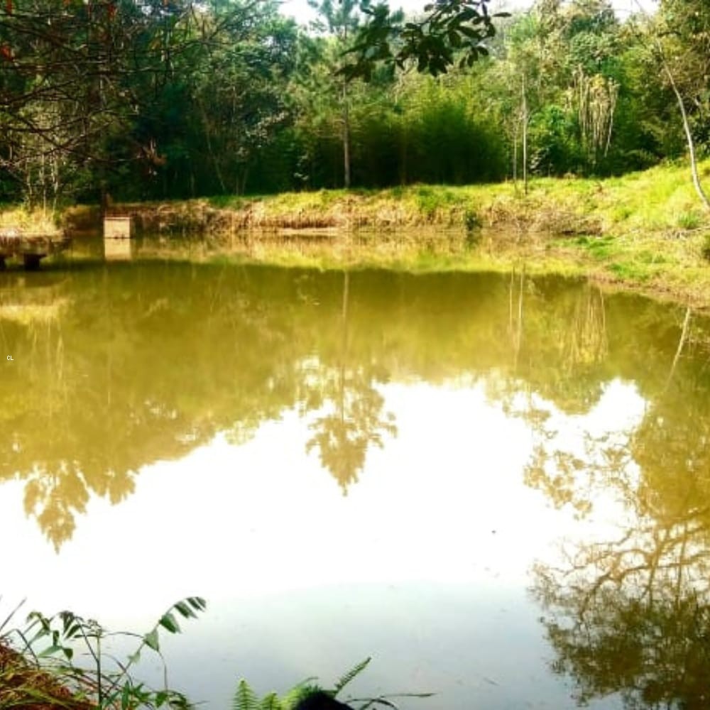 Sítio, 2 quartos, 5 hectares - Foto 22