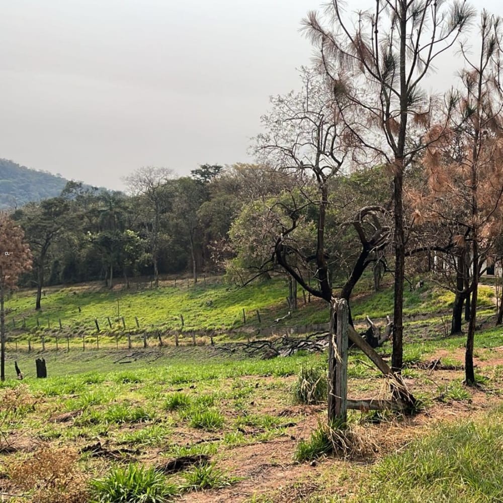 Sítio, 2 quartos, 5 hectares - Foto 24