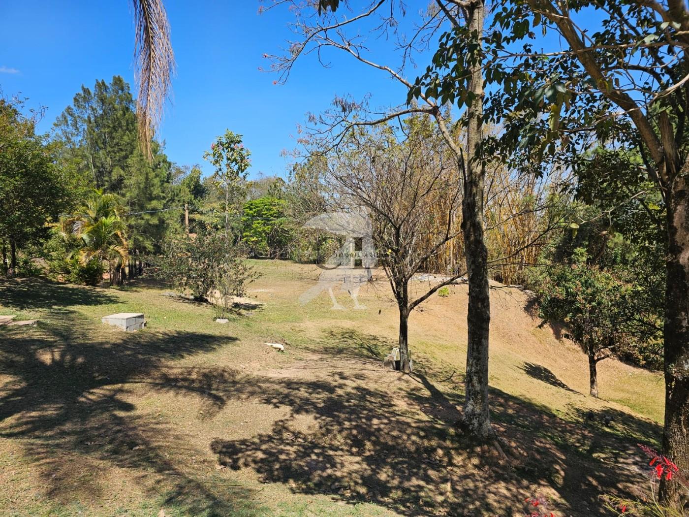 Sítio, 3 quartos, 6 hectares - Foto 5