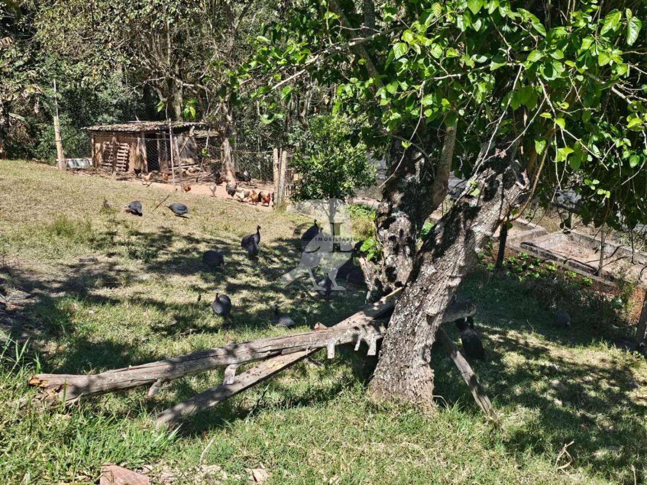 Sítio, 3 quartos, 6 hectares - Foto 10