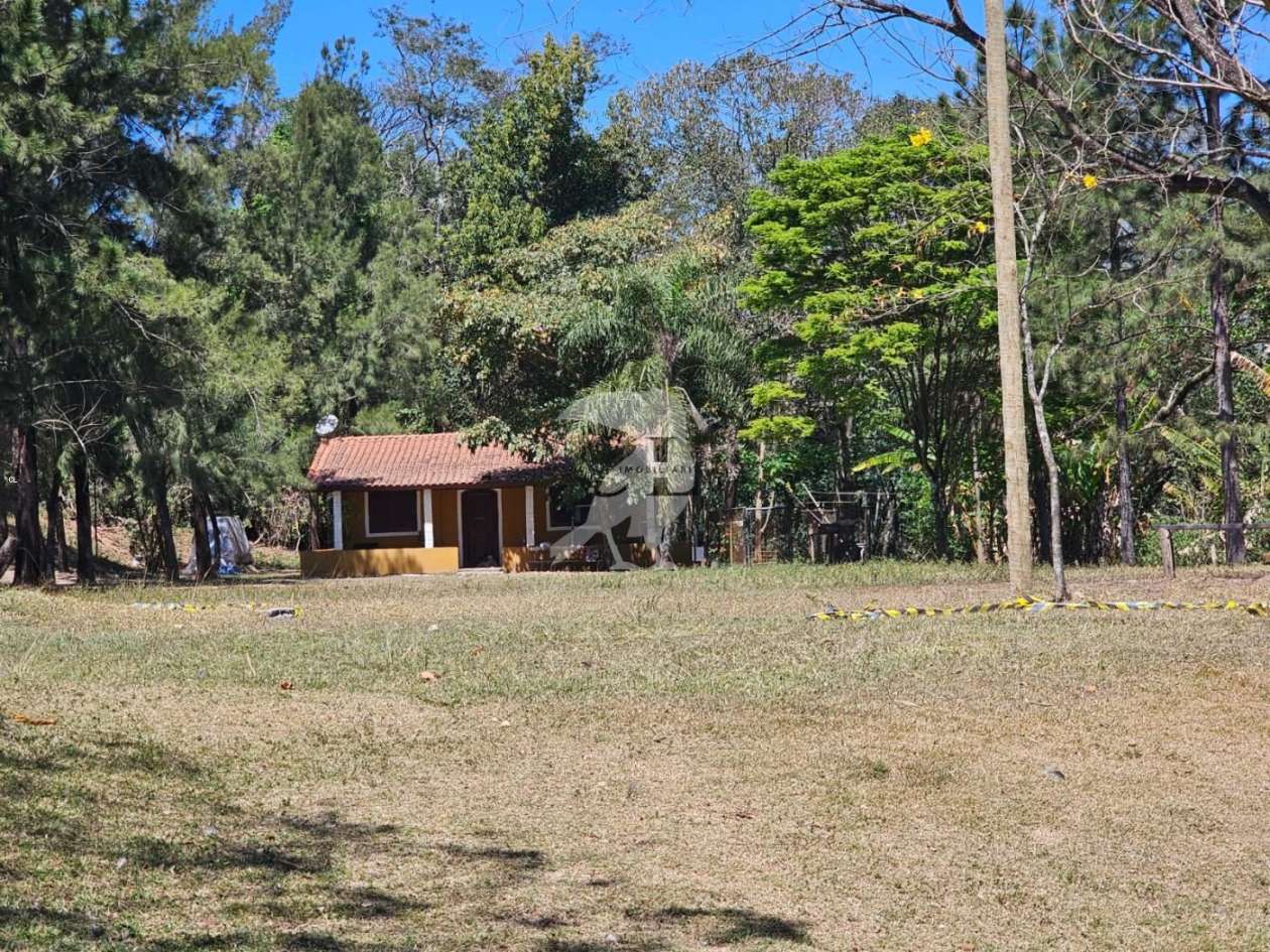 Sítio, 3 quartos, 6 hectares - Foto 8