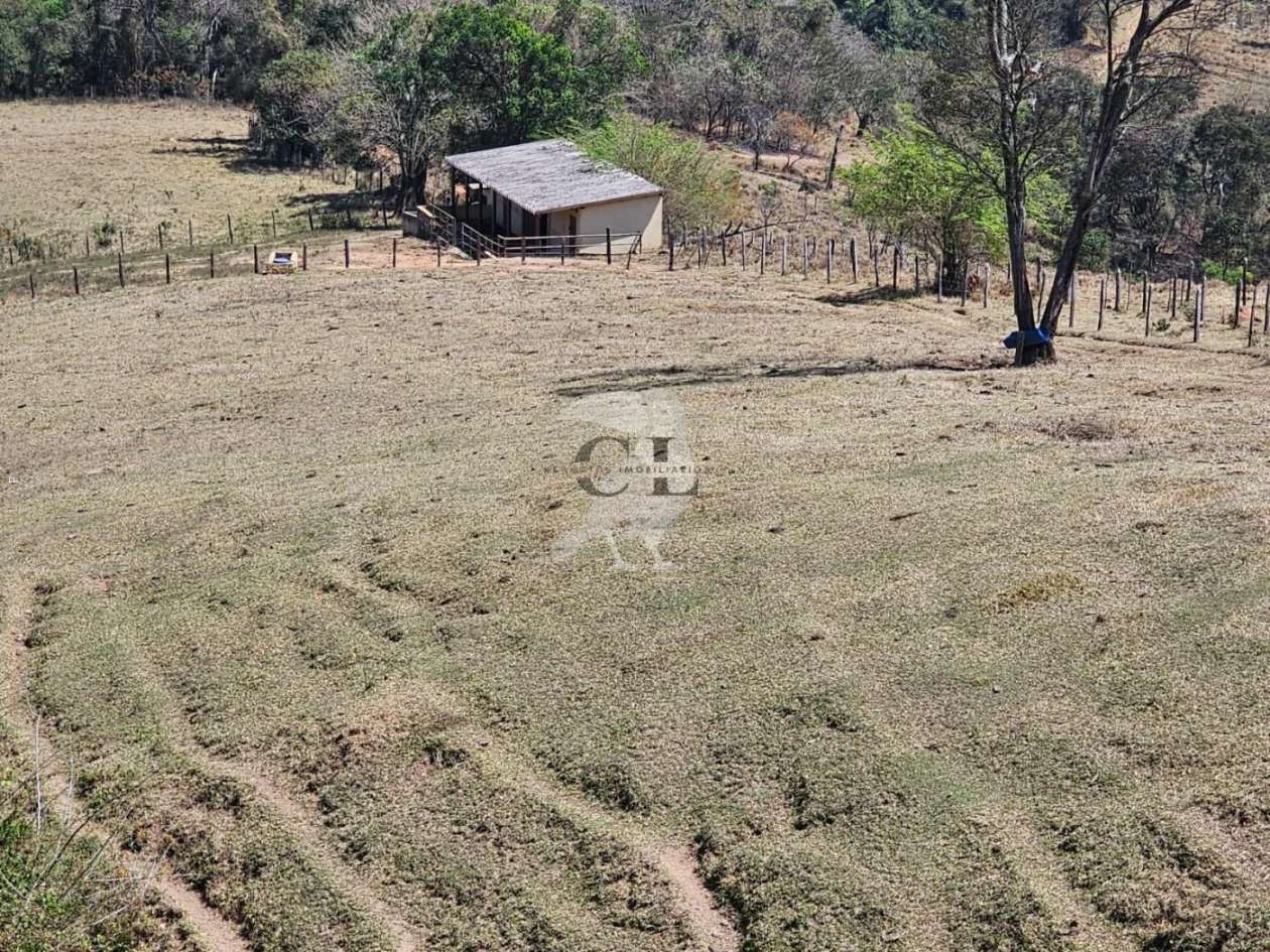 Sítio, 3 quartos, 6 hectares - Foto 12