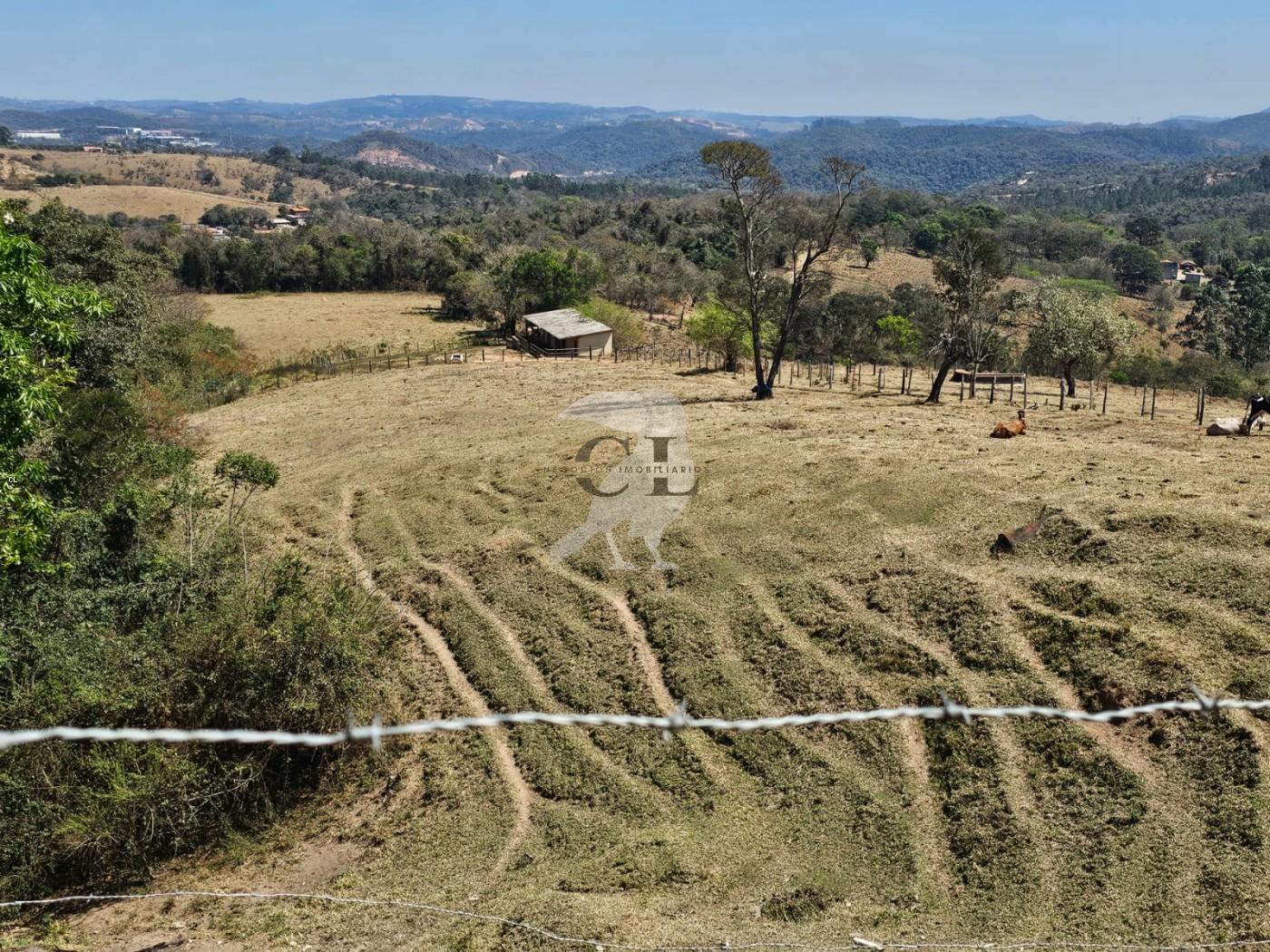 Sítio, 3 quartos, 6 hectares - Foto 11