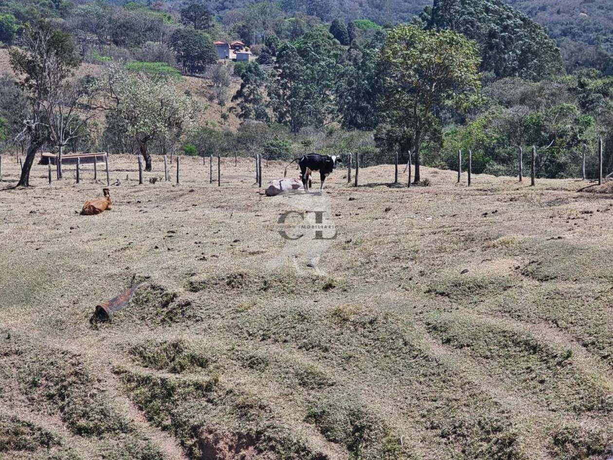 Sítio, 3 quartos, 6 hectares - Foto 14