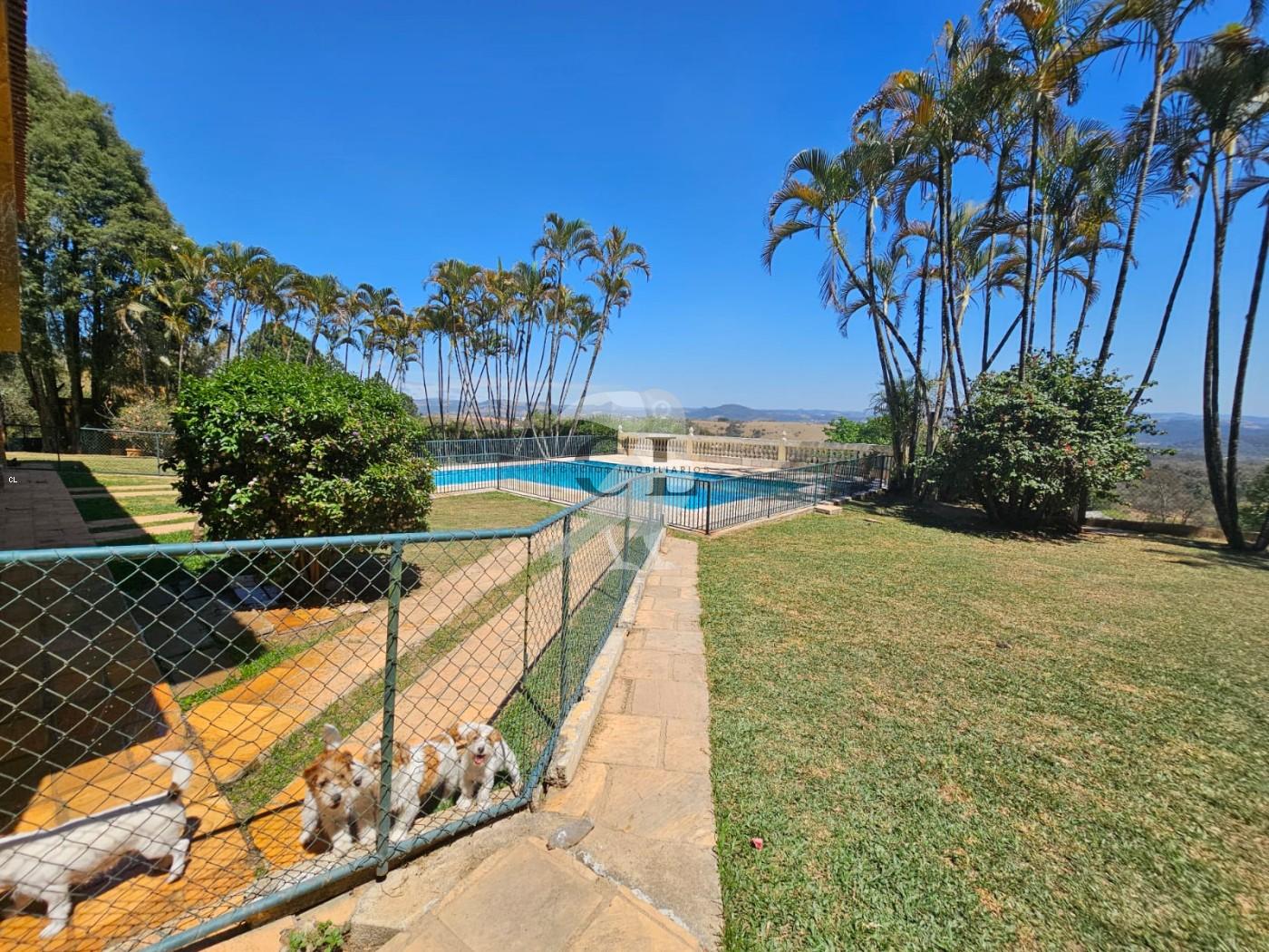 Sítio, 3 quartos, 6 hectares - Foto 20