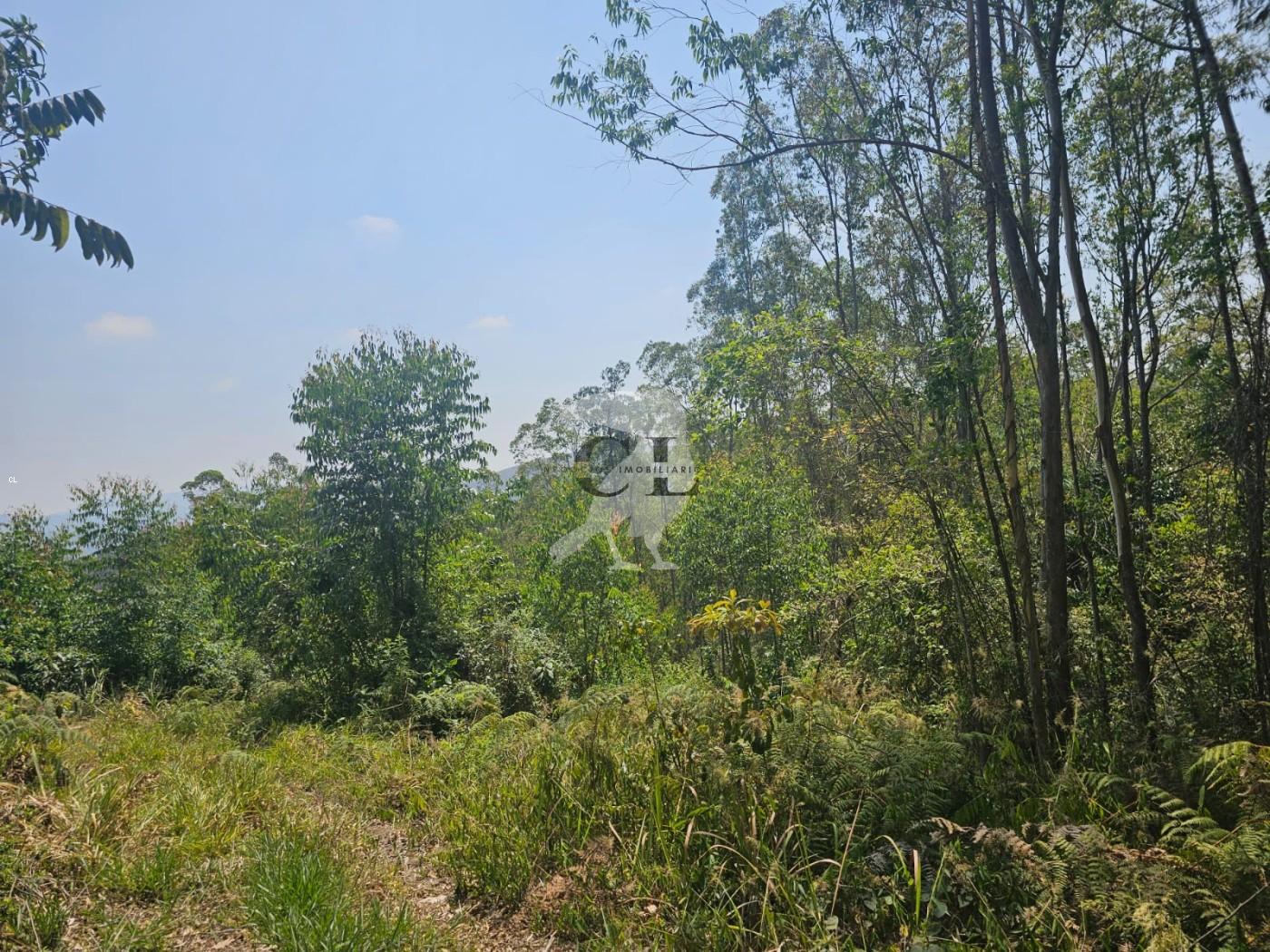 Terreno, 5080 m² - Foto 3