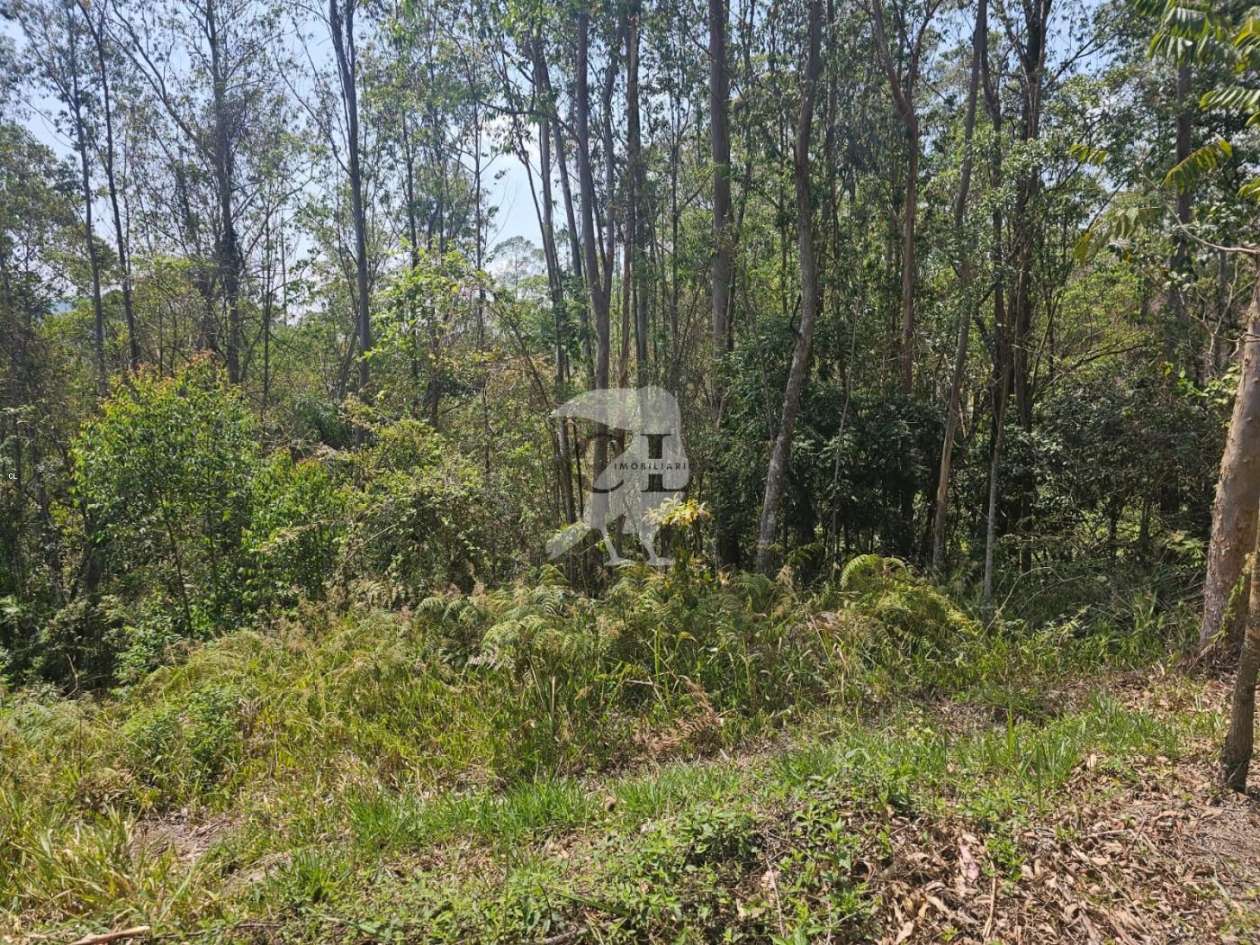 Terreno, 5080 m² - Foto 5