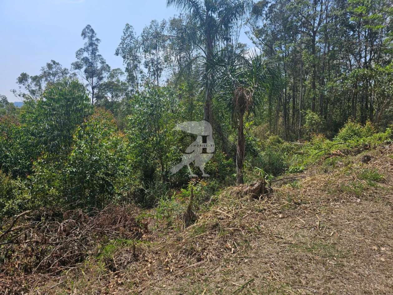 Terreno, 5080 m² - Foto 6