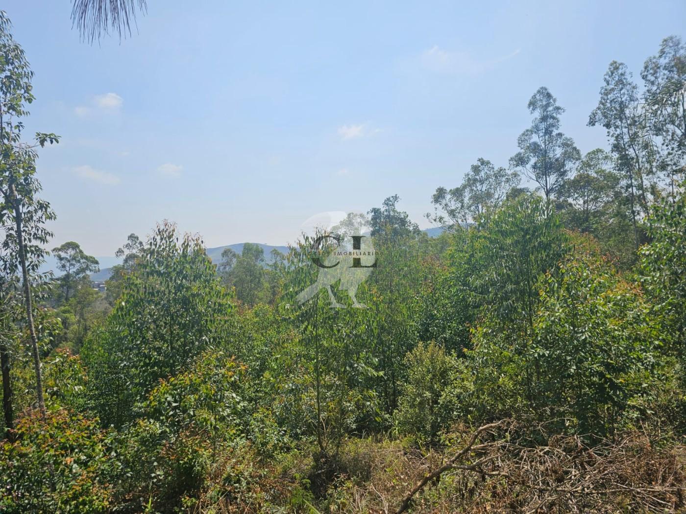 Terreno, 5080 m² - Foto 7