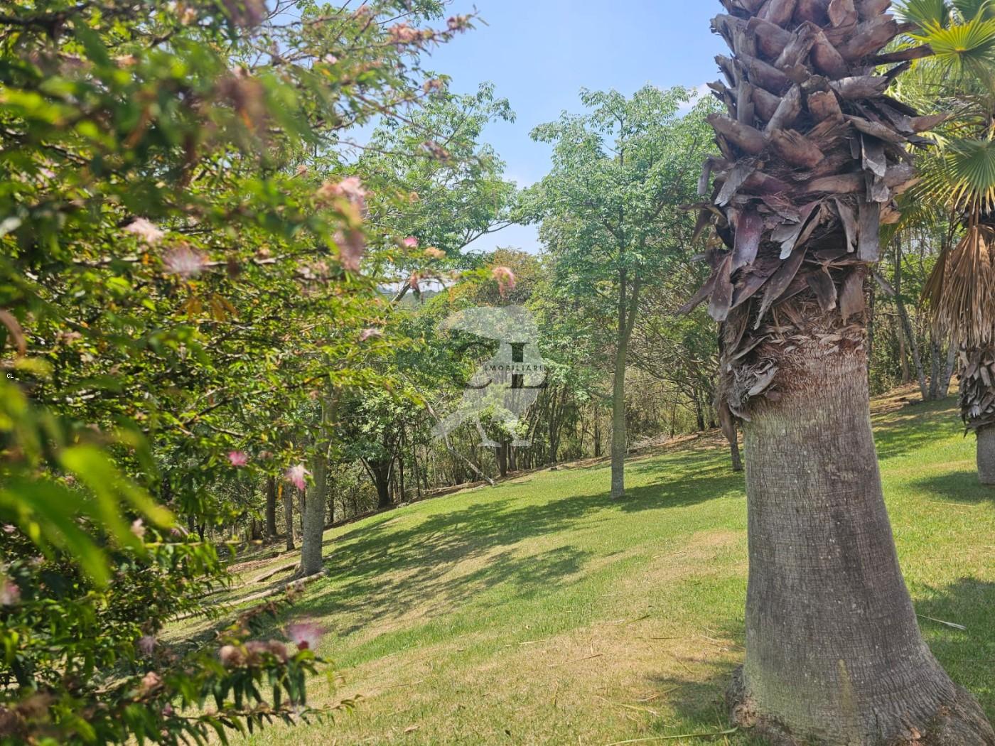 Terreno, 5328 m² - Foto 5