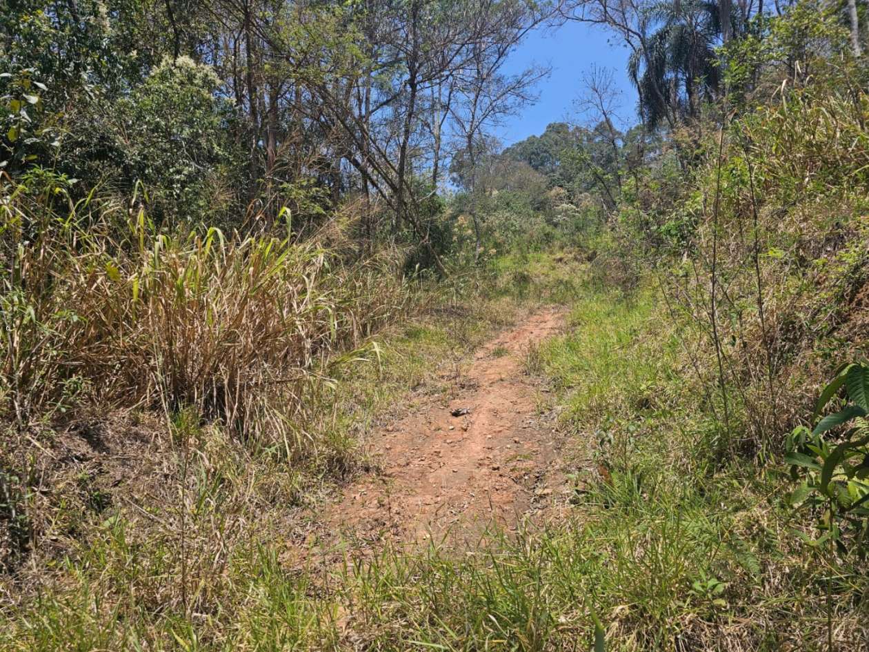 Terreno, 5328 m² - Foto 16