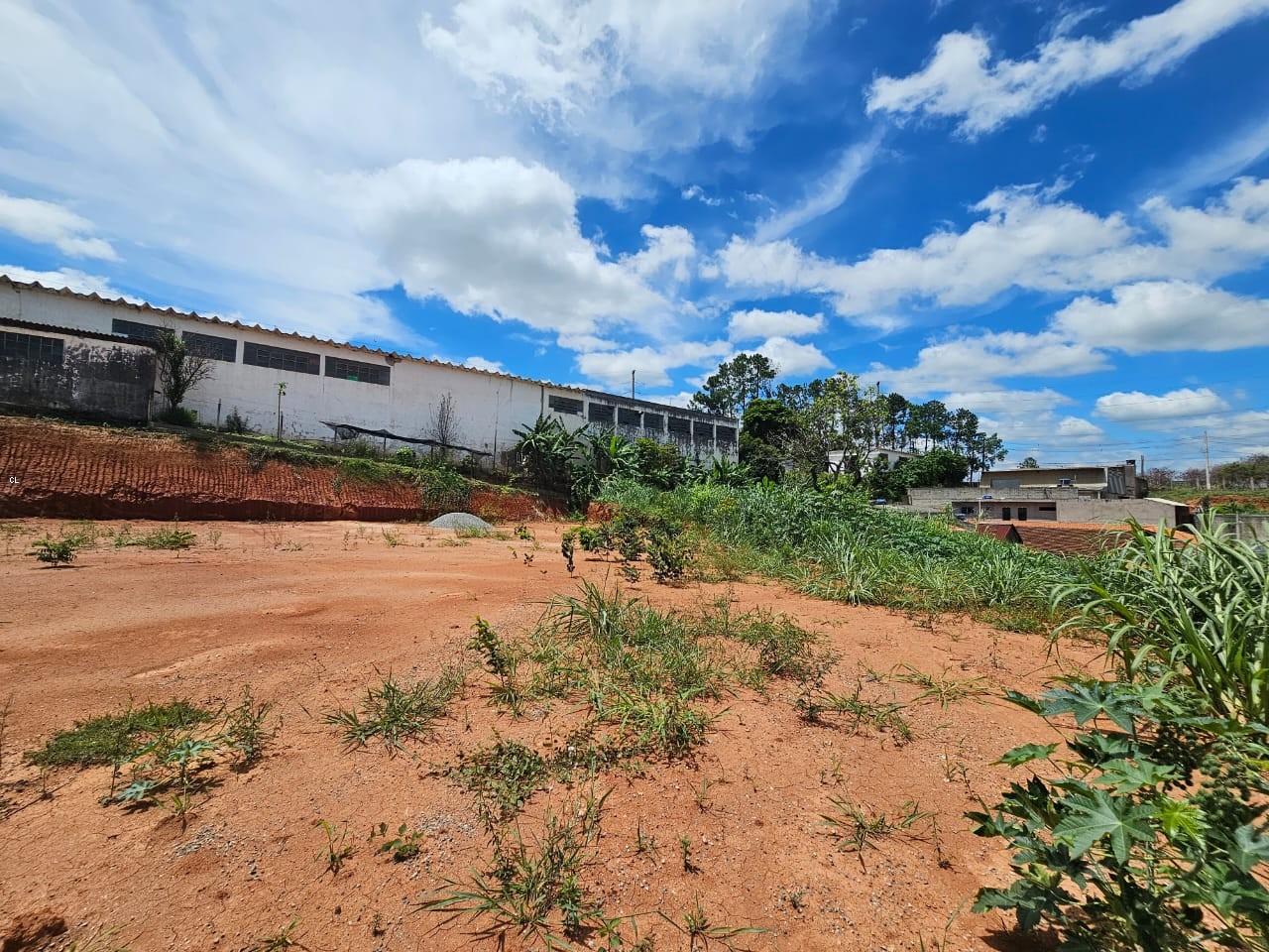 Terreno, 1000 m² - Foto 7