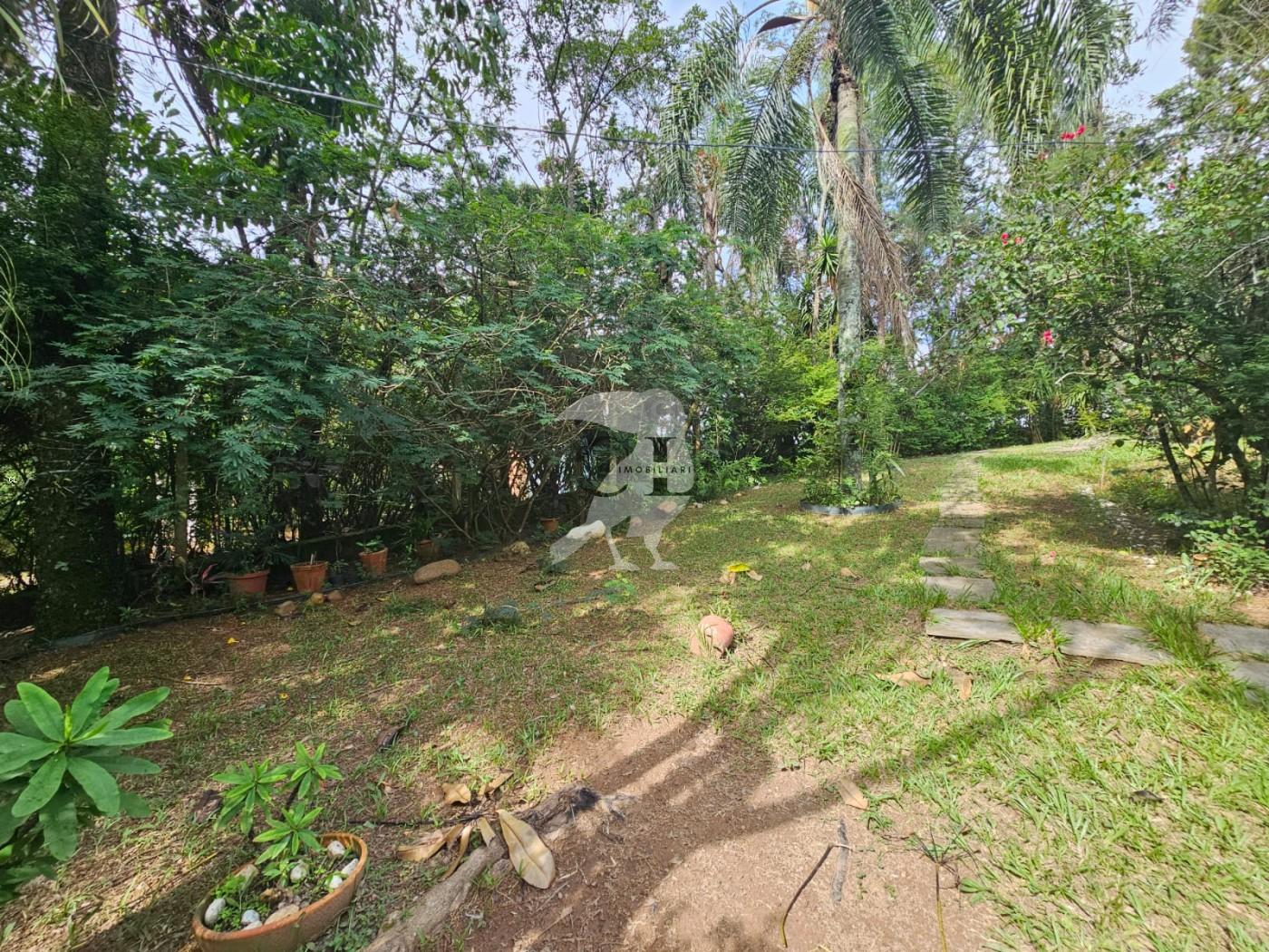 Chácara, 2 quartos, 4590 m² - Foto 7