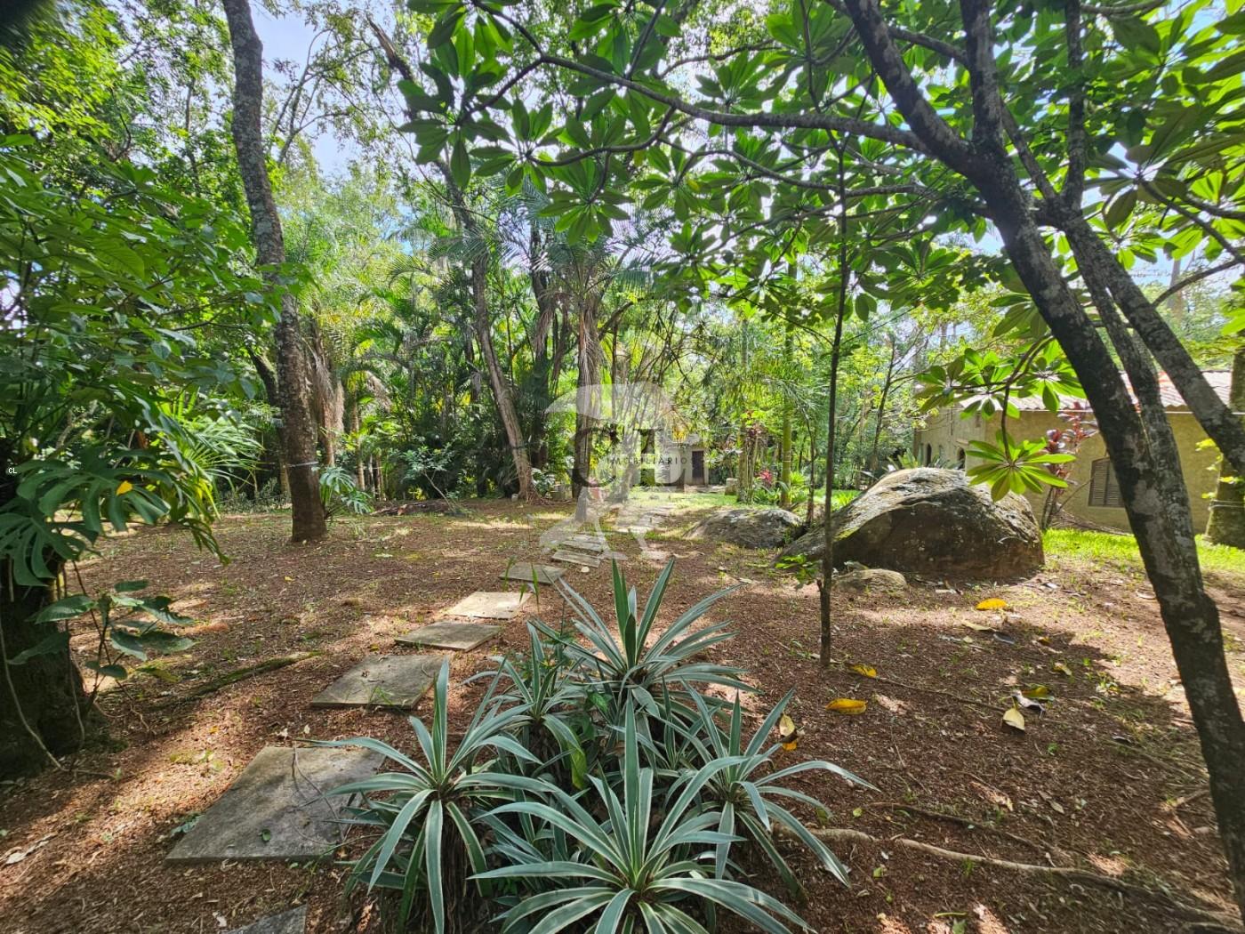 Chácara, 2 quartos, 4590 m² - Foto 9