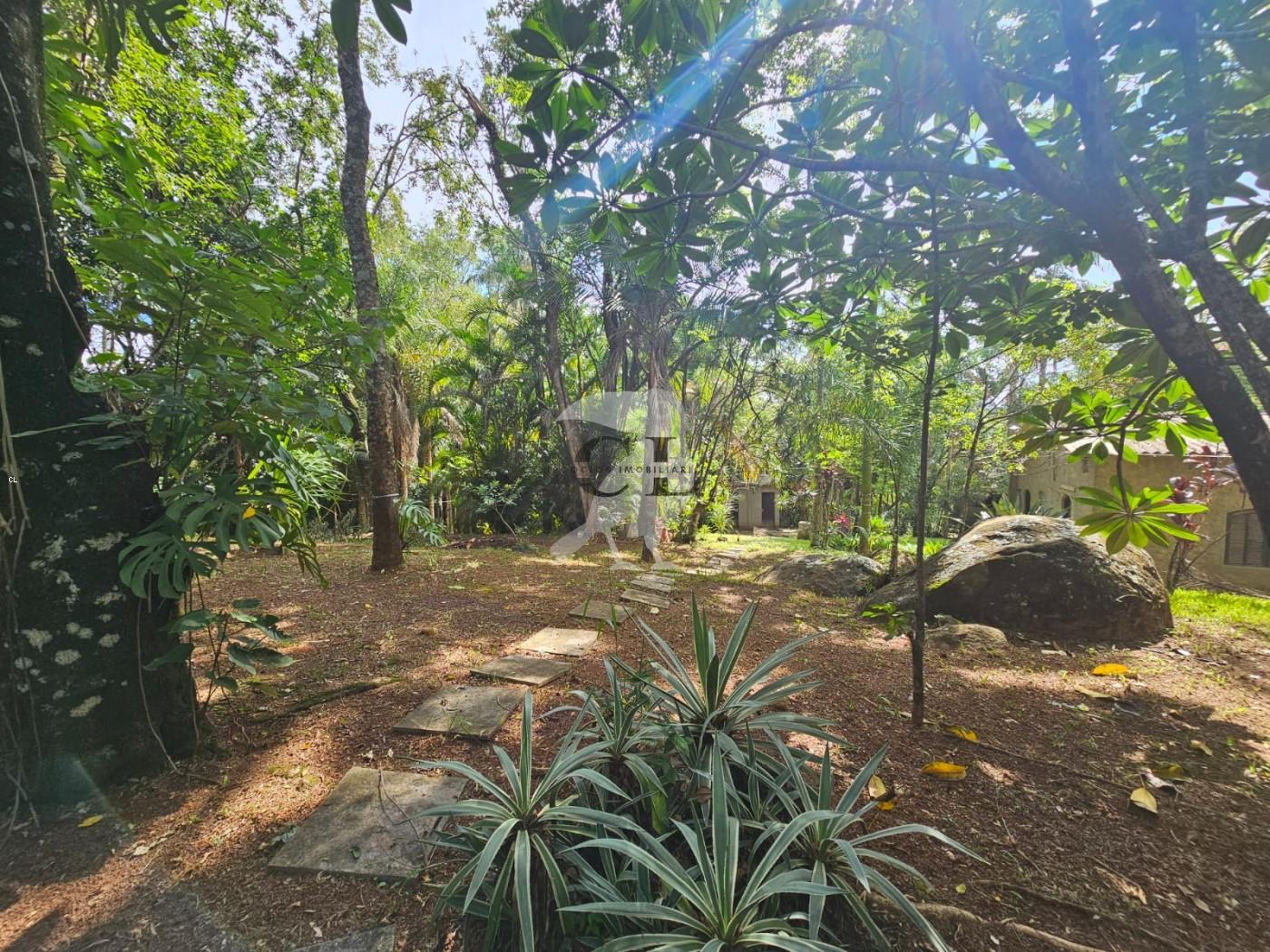 Chácara, 2 quartos, 4590 m² - Foto 10