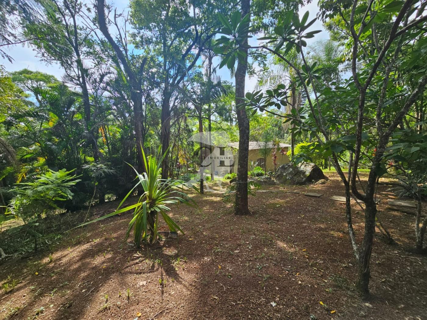 Chácara, 2 quartos, 4590 m² - Foto 16