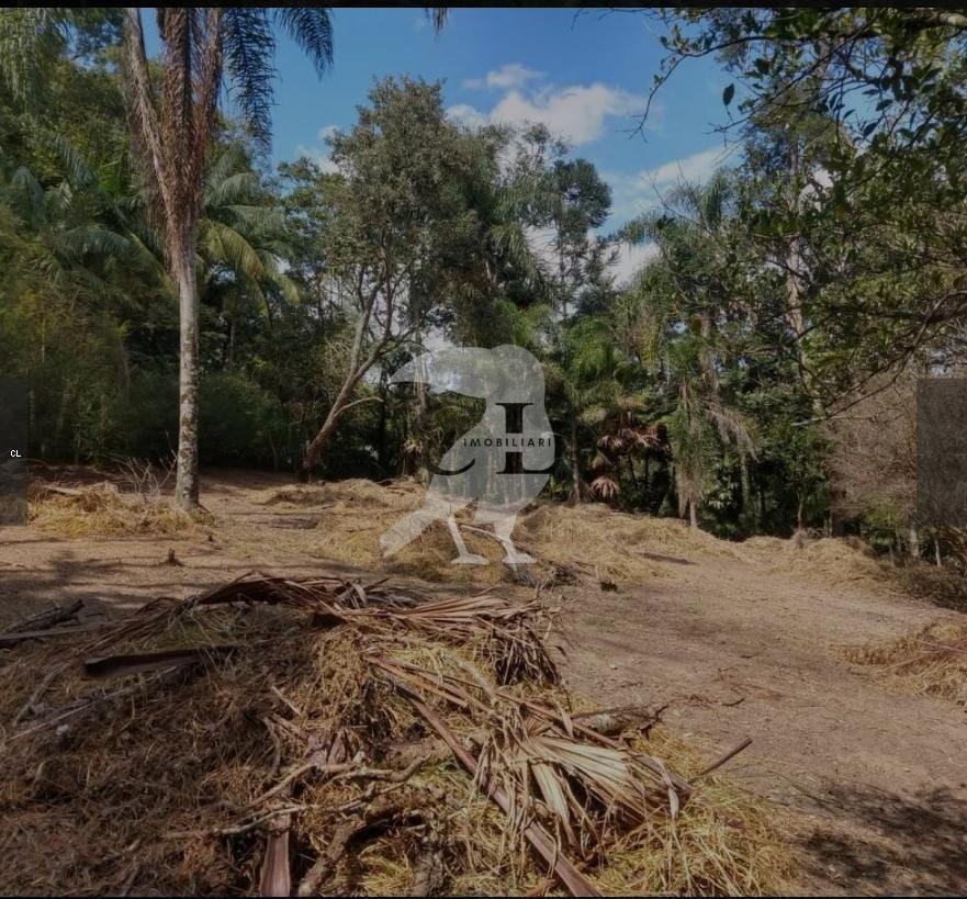 Terreno, 4298 m² - Foto 5