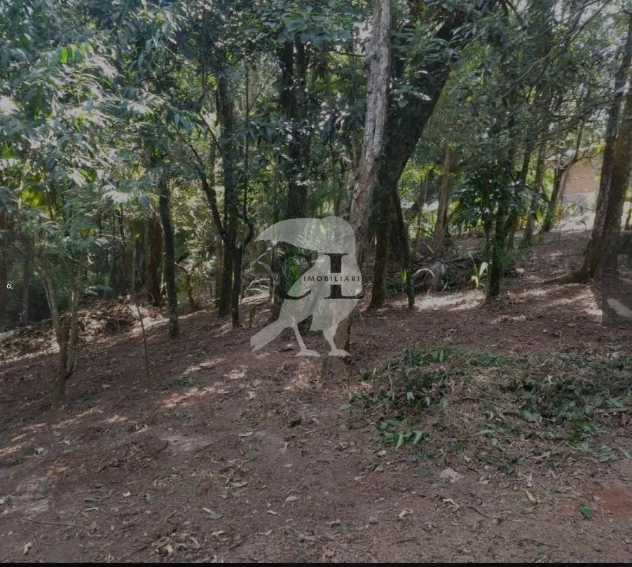 Terreno, 4298 m² - Foto 7