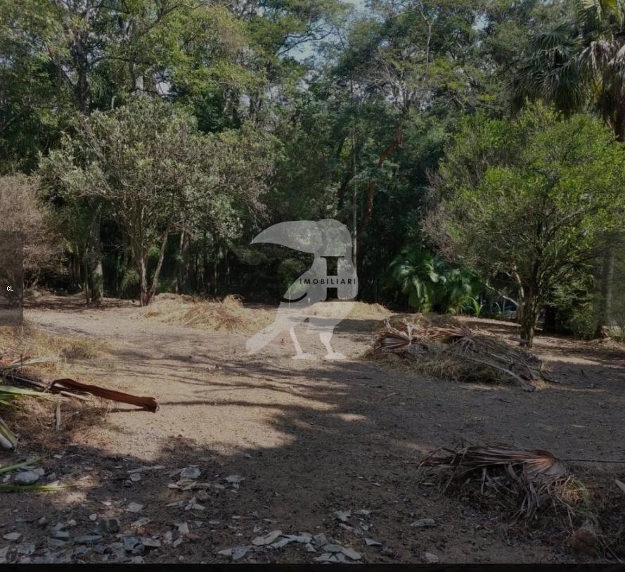 Terreno, 4298 m² - Foto 6