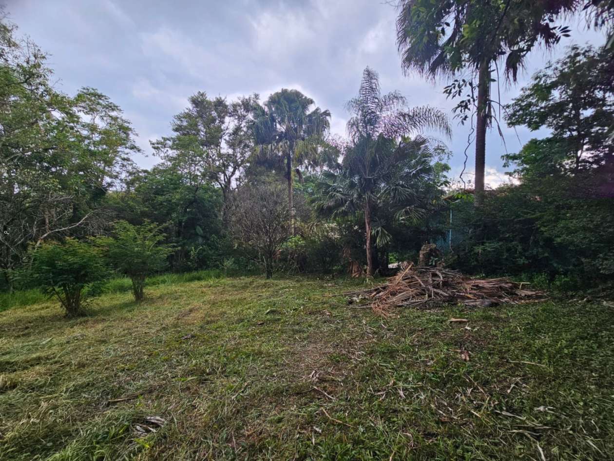 Terreno, 4298 m² - Foto 3