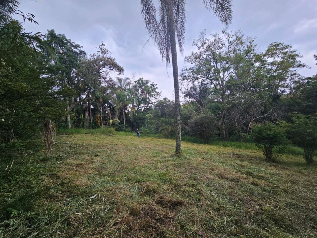 Terreno, 4298 m² - Foto 2