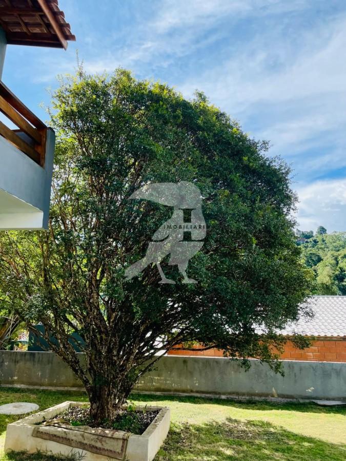 Chácara, 7 quartos, 1000 m² - Foto 27