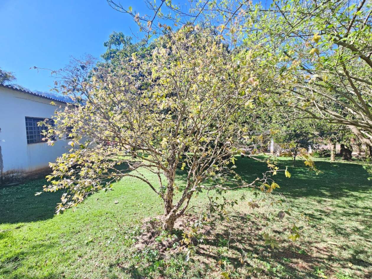 Fazenda, 2300 m² - Foto 14