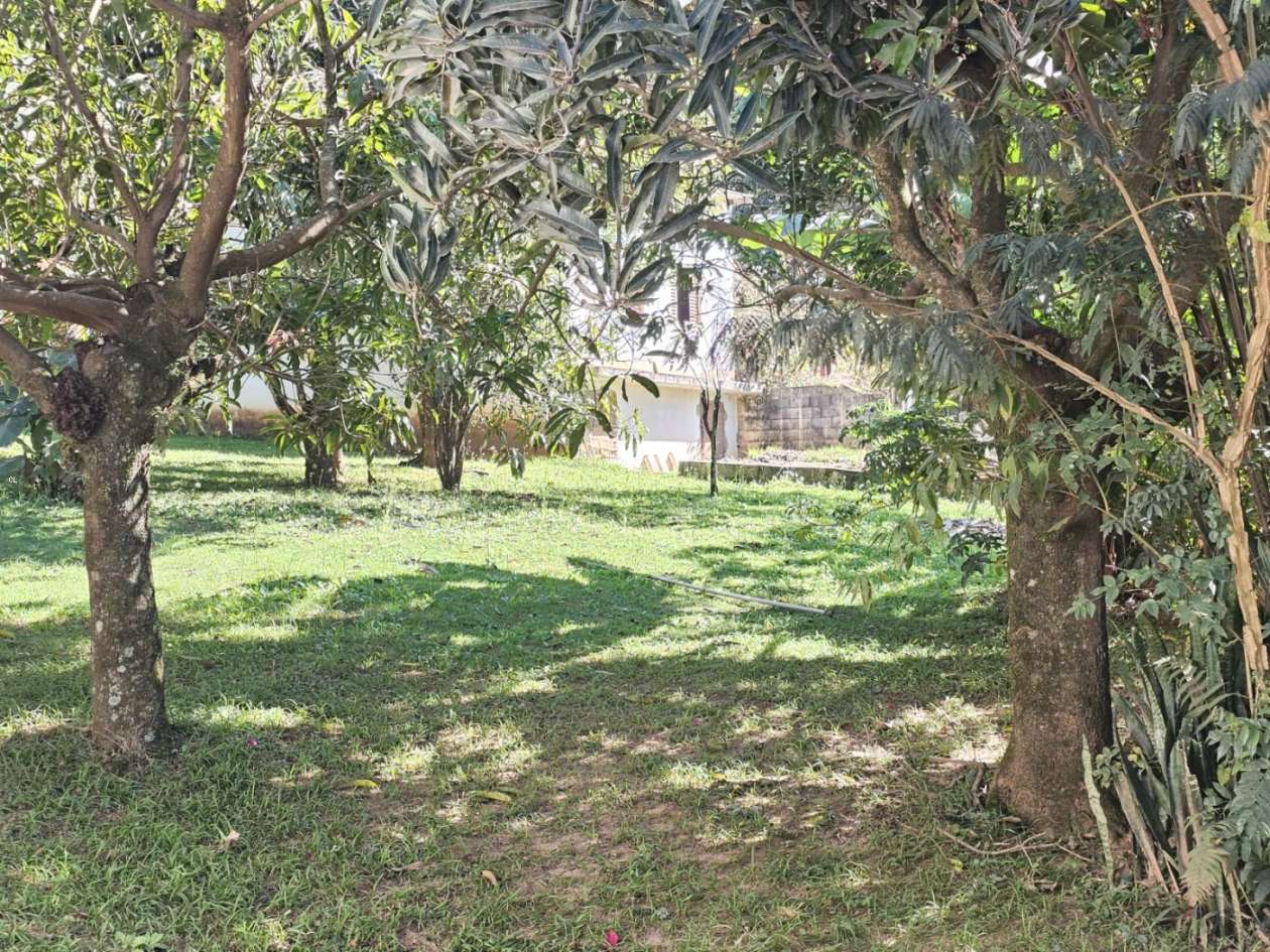 Fazenda, 2300 m² - Foto 31