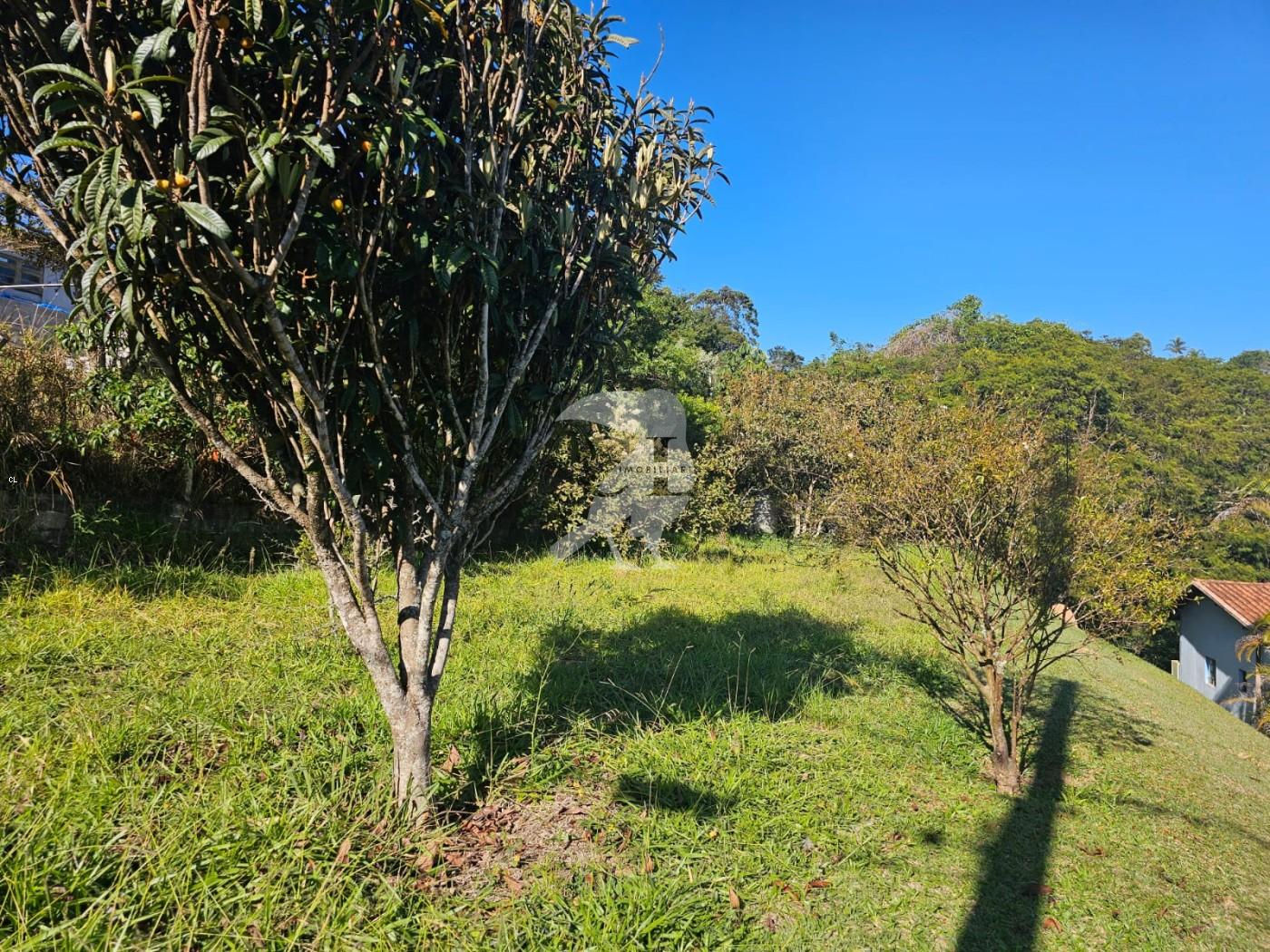 Fazenda, 3000 m² - Foto 42